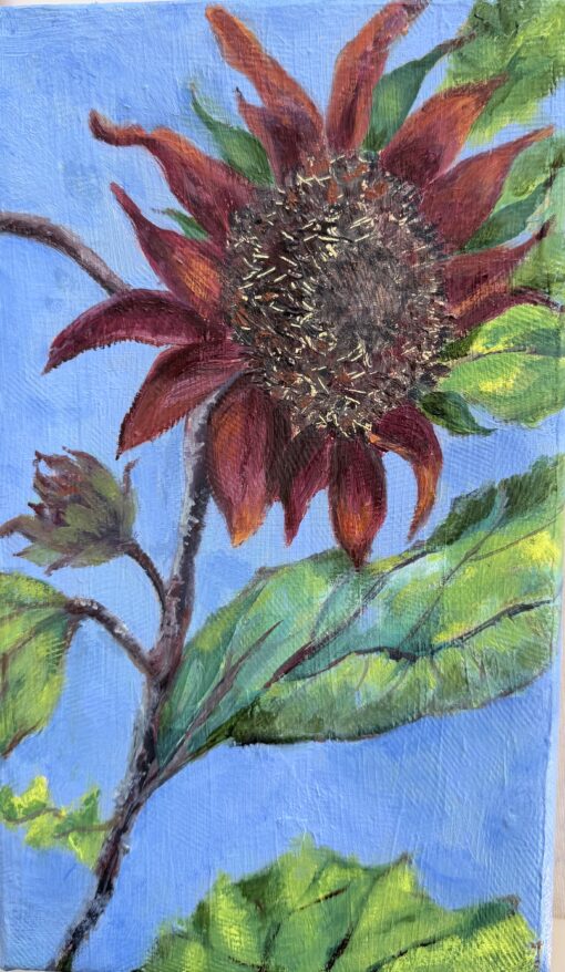 Only One Sunflower